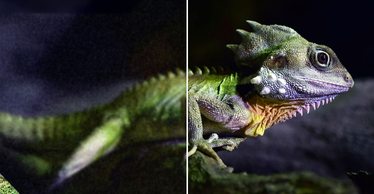 Image Upscaling